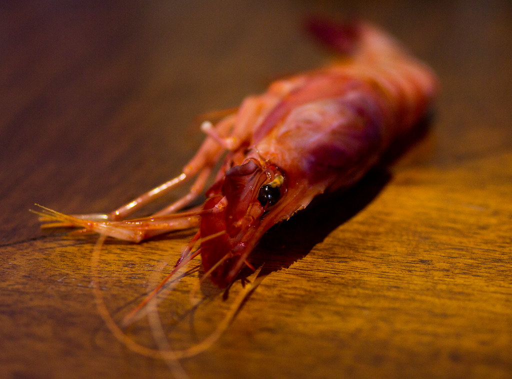 La Gamba… de Vilanova?